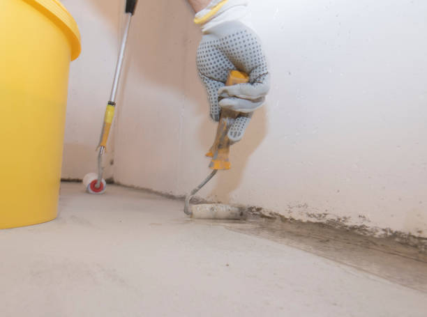 Best Termite Inspection and Treatment  in Douglass, KS